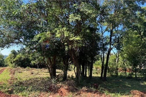 Terreno en venta en Cambyretá - San Antonio — foto 4