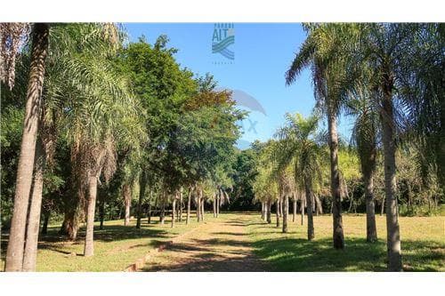 Terreno con Hermosa Vista al Lago Ypacaraí — foto 5