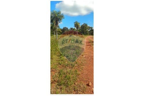 Terreno en paraguari — foto 4