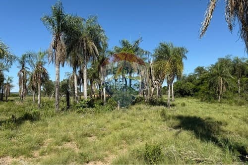 ¡Terreno Ideal en Ypacaraí, 2400m²! — foto 4