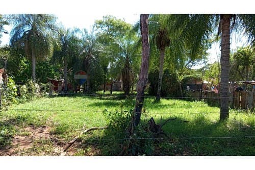 Terreno barrio Mora Kue, Luque