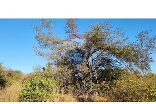 En venta terreno — foto 2