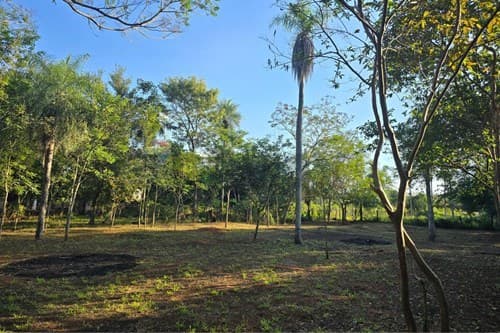 Terreno en Caacupé, sobre ruta Caacupé-Atyrá — foto 3