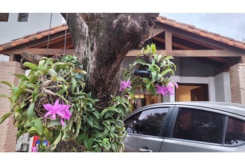 Casa en Bo. San Cristóbal — foto 5