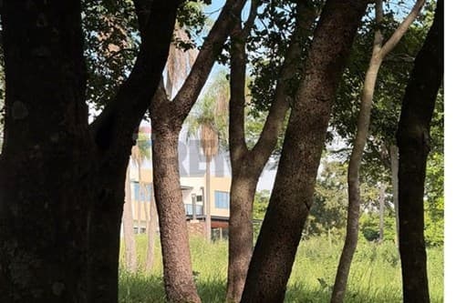 Parque alto - tu nuevo hogar — foto 3