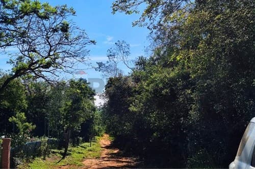 de amplio Terreno en Piribebuy Cordillera, foto 2