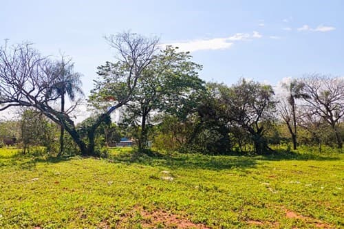 En venta | terreno en Capiatá b°toledo cañada, foto 4