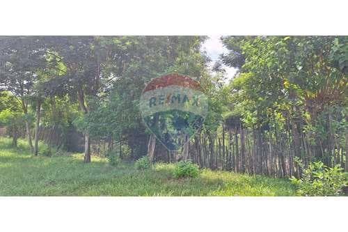 Terreno en oferta barrio ita paso — foto 4