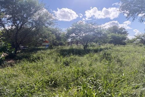 Terreno arenoso en Filadelfia, foto 5