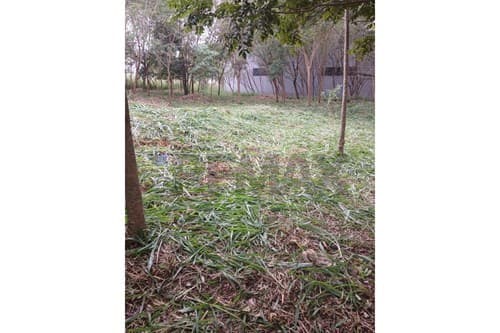 En venta terreno en Barrio Catedral — foto 3