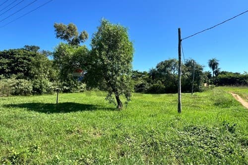 Terreno en la ciudad de ita - caaguazu — foto 5