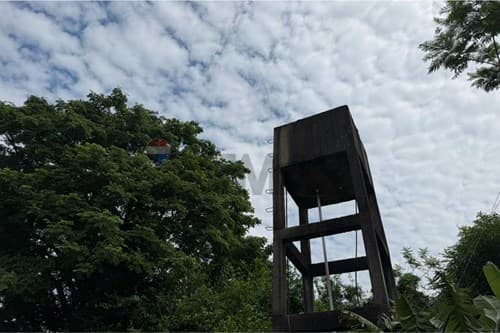 En venta finca agricola de 15 ha — foto 5