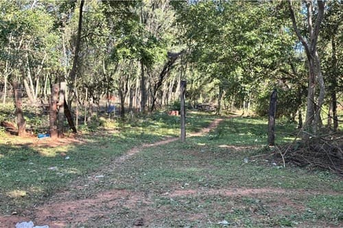 Terreno en caacupé — foto 4