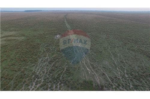 Campo en Arroyos y Esteros sobre el rio Piribebuy — foto 5