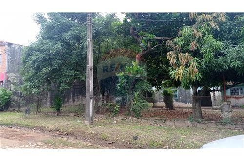 Terreno en Mariano calle a calle — foto 4