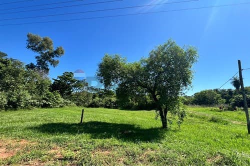 Terreno en la ciudad de ita - caaguazu — foto 4
