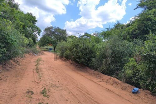 Terreno en caacupe — foto 3