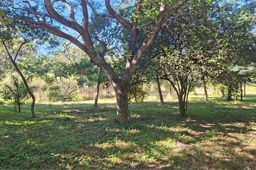 Terreno en San Bernardino: ¡Tu Inversión Ideal! — foto 2