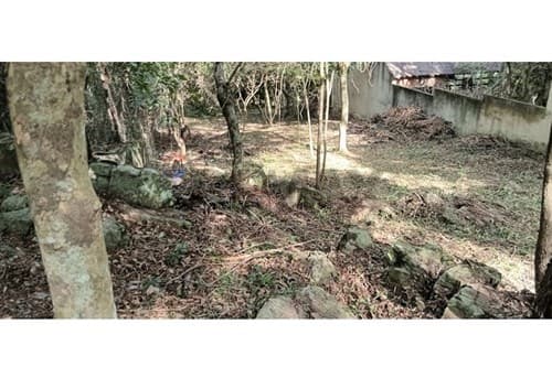 Terreno de 828m² en Nueva Colombia, ¡Invierte ya!, foto 5