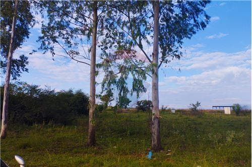 Terreno en venta en itacua cua — foto 3