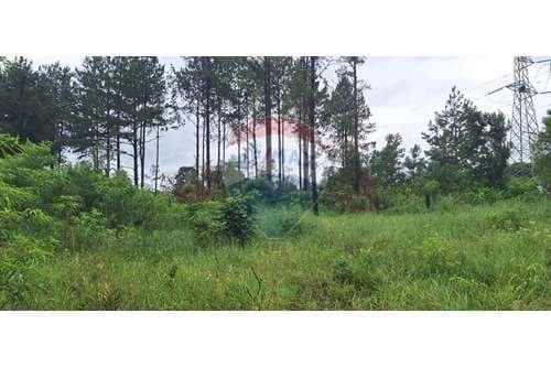 Amplio terreno en venta - Trinidad — foto 2
