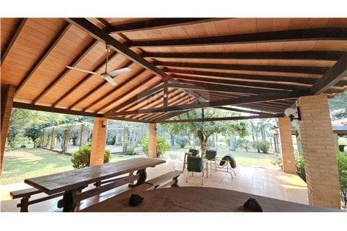 55 hectareas con casa amoblada y eucalipto