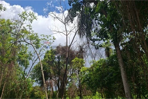 Terreno en San Bernardino Zona Anfi — foto 5