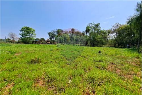 2.503 m2 en loma guasu - ca acupe — foto 5