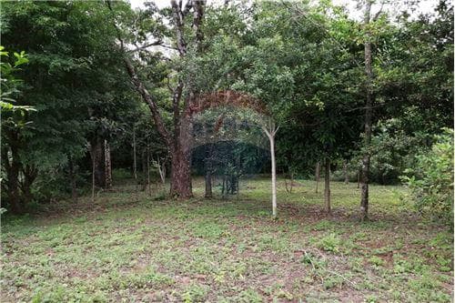 750 m2 de terreno a 13 km de Encarnacion — foto 4