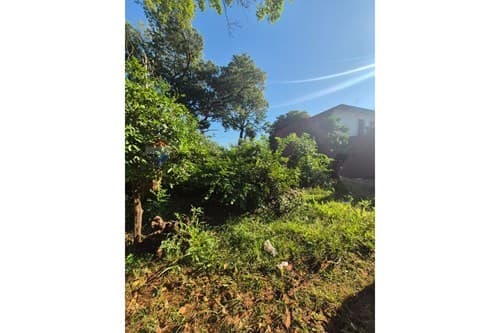 En venta terreno de 366 m2 en San Lorenzo — foto 2