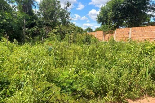 Terrenos en venta – caacupé, barrio san cayetano, foto 3