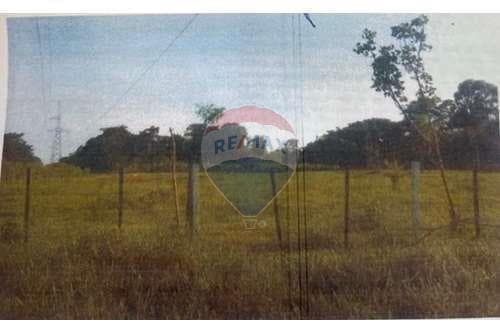 Terreno de 5has en santaní, foto 4