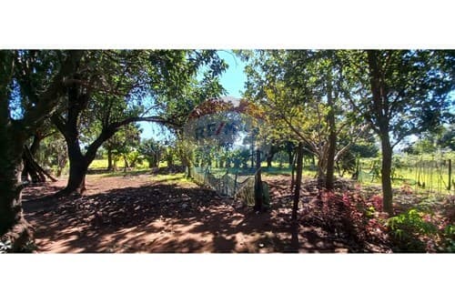 ¡En venta 1 Hectárea! — foto 3