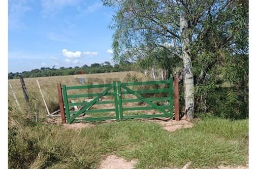 Campo de 25 ha-ayolas, misiones, foto 4
