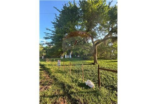 Terreno en centro de paraguari, foto 4