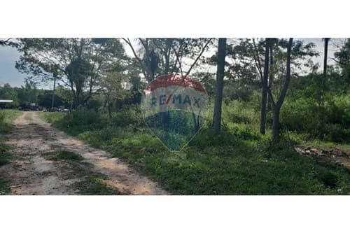 Campo en atención inversionistas, aregua — foto 3