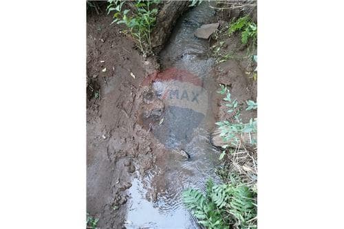 Propiedad agricola ganadera de 23.5 hectáreas — foto 2