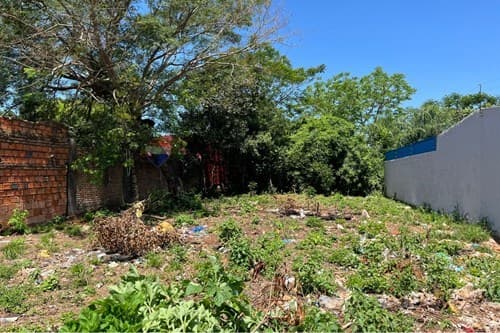 Terreno ideal en Luque: 420m² para tu sueño — foto 1