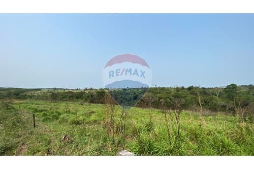 Campo en venta en Simón Bolívar