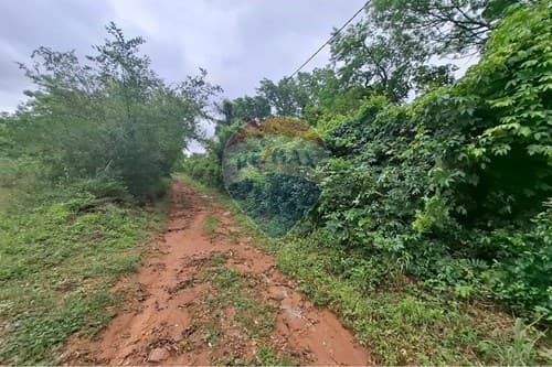 1.8 has camino Luque - San Bernardino — foto 2
