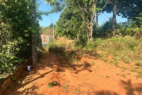 Terreno en limpio — foto 5