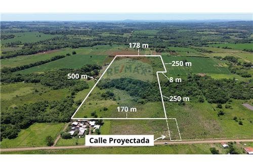 Propiedad de 8 hectáreas y 7.000 m2 — foto 4