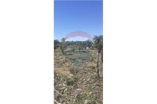 en Venta Terreno en San Juan del Parana — foto 2