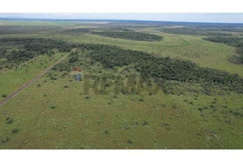 Inversión única sobre ruta – 181 has en villeta — foto 4