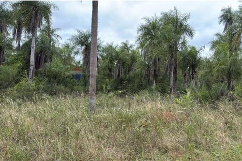 Oferta de terreno en Caacupé – ¡Inversión!" — foto 2