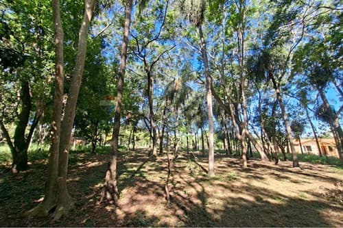 Terreno en San Bernardino, ¡Inversión Ideal! — foto 5