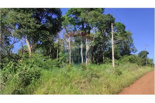 Terreno en arroyo pora