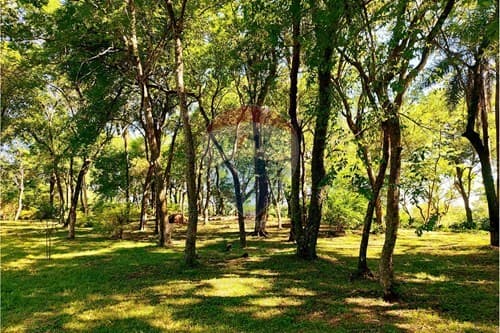 Terreno de Ensueño en Atyra, Cordillera — foto 3