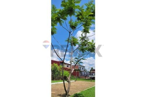 Terreno en venta – limpio, foto 4