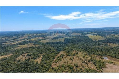 Propiedad ganadera en venta 125 htas en cnel ovied — foto 5